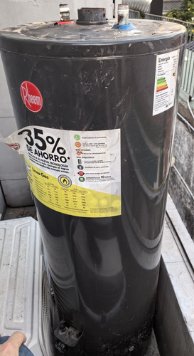 Termotanque Rheem Tgnp150rh Alta Eficiencia 150 Litros 