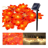 Luces Solar Guirnalda Hoja 30 Led Led Luz Cálida Navidad