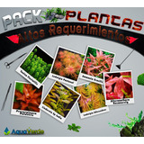 Pack De Altos Requerimientos Plantas De Acuarios