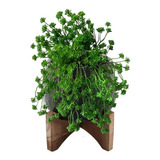 Kit 2 Plantas Artificiais Sedum Ornamental Decoração Rústica