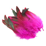 50 Piezas De Plumas Para Manualidades Decorativas, Plumas De