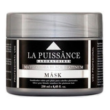 Mascara Capilar Matizadora Black Platinum La Puissance