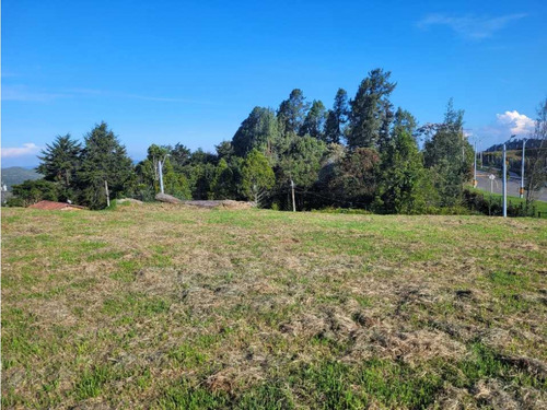 Venta De Lote En Alto De Las Palmas Variante Aeropuerto - Imagen 3