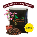 14kg Substrato Especial Rosa Do Deserto 