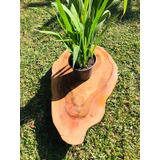 Mesa Para Plantas Madeira Maciça Mesa Rústica  Tronco