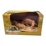 Animales De La Selva Cheetahs Animal World