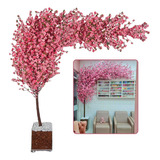 Árvore Cerejeira Sakura Rosa Calda Longa 