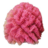 Coral Marino De Resina En Color Rosa 