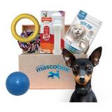 Mascobox Kit Mordelon Juguetes Hueso Perros Adulto Peq Y Med