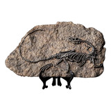 Escultura De Fósil De Dinosaurio, Decorativa