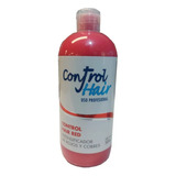 Antifrizz Control Hair Red X 500cc. - Perfect Hair
