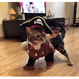 Disfraz Perro O Gato Pirata Halloween 