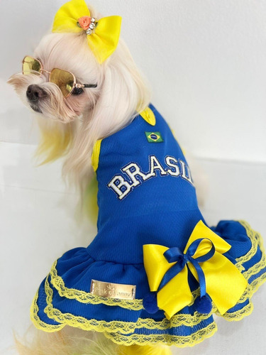 Roupa Vestido Brasil Azul Copa Do Mundo Para Cão E Gato