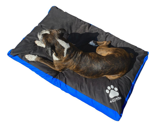 Cama Para Perros Grandes Antidesgarro / Impermeable +cotitas