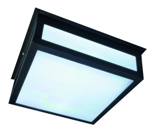 Plafón Mediano De Exterior 2 Luces Moderno Apto Led E27 