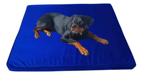 Cama Para Perro Grande Impermeable Fácil Limpieza Resistente Color Azul