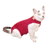 Roupa Pós Cirurgica Dry Gatos Macho E Fêmea - 1 A 4kg