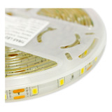 Tira Led 4040 Exterior Rollo 5 Metros 72w 