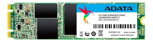 Disco Sólido Ssd Interno Adata 256gb Asu800ns38-256gt-c