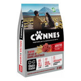 Cannes Adulto Carne Y Cereal 18kg | Solo Stgo | Mdr