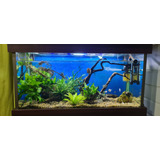 Acuario Completo 200 Litros Con Mueble