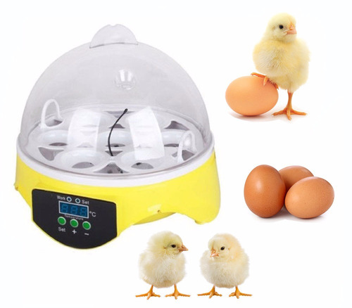 Incubadora Mini  7 Huevos Gallina Pollo Pato Aves