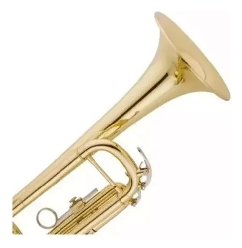 Trompete Lord Special Gold Laqueado Sib + Case Oferta -13397