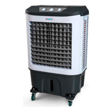 Climatizador Umidificador De Ar Industrial Ultraar 55 Plus Cor Branco E Cinza 220v