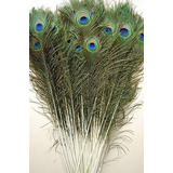 25 Plumas De Pavo Real De 45 -50 