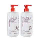 2 Shampoo Cola Caballo Crecimiento Del Cabello 400g Cu