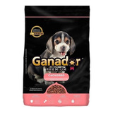 Alimento Ganador Premium Perro Cachorro Raza Pequeña 20kg