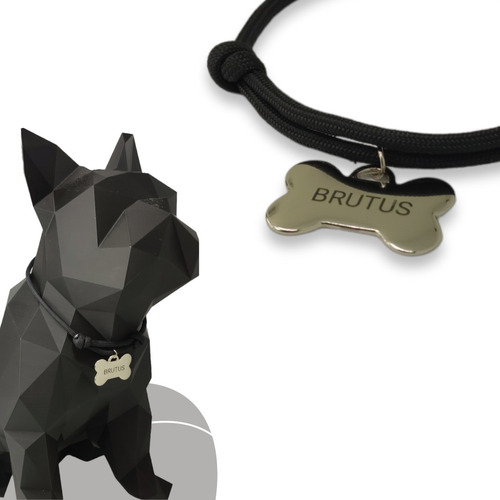 Coleira Pet Com Plaquinha Identificação Personalizada 2 Unid