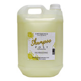 Shampoo Keratinico Pre Y Post Tratamientos 5ltr