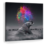 Cuadro Elefante Colores Moderno En Lienzo Canvas Grati Color Color Splash