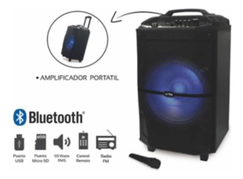 Amplificador Recargable Usb Blueetooth