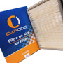 Filtro De Aire Cardoc Ck6900 Nissan Sentra B14 B13 Xtrail  Nissan X-Trail