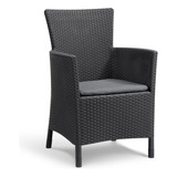 Silla De Jardín Rattan Plastico Exterior Iowa