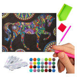 Pintura Diamante Diamond Painting Kit Arte Bordado Caballo