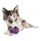 Petsafe Busy Buddy Barnacle - Juguete Masticable Para Perros