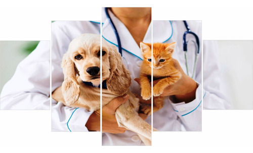 Quadros Decorativo Clinica Veterinária Cachorro Gato 5 Peças