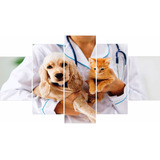 Quadros Decorativo Clinica Veterinária Cachorro Gato 5 Peças