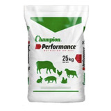 Alimento Gallinas Ponedoras Champion Starter 3 Kg Inicial