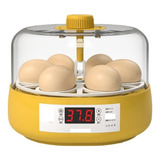 Incubadora 6 Ovos Incubadora Automática Listada Incubadora