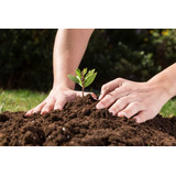 Abono Sustrato Orgánico Para Flores Árbol Frutal Plantas10k 