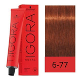 Tintura Igora Royal Schwarzkopf  60grs. 8-77 7-77 6-77 0-77