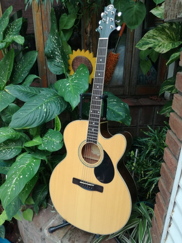 Guitarra Acústica Jumbo Greg Bennett Gj 100 Sce Como Nueva