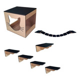 Kit Play Para Gato 7 Pcs Montado + Escova Tira Pelos Catnip