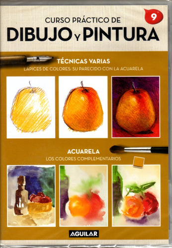 Curso Práctico De Dibujo Y Pintura Vol.9 Dvd Original Nuevo