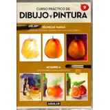 Curso Práctico De Dibujo Y Pintura Vol.9 Dvd Original Nuevo
