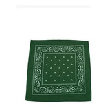 Pañuelo Bandana Unisex